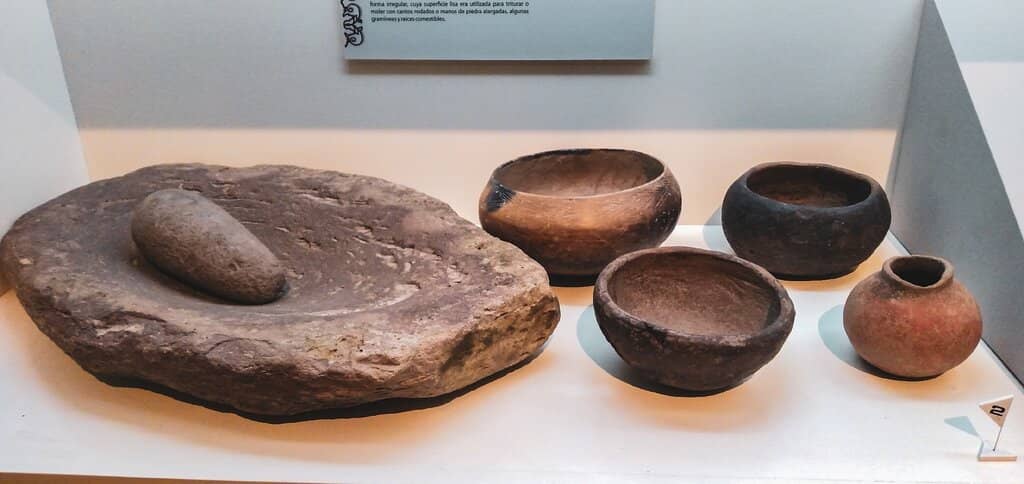 The Dinosaur Skeleton