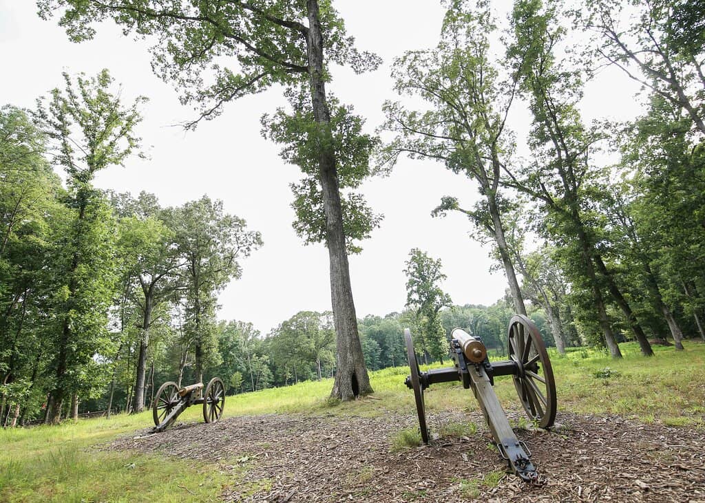 Bluebell Wildflower Trails