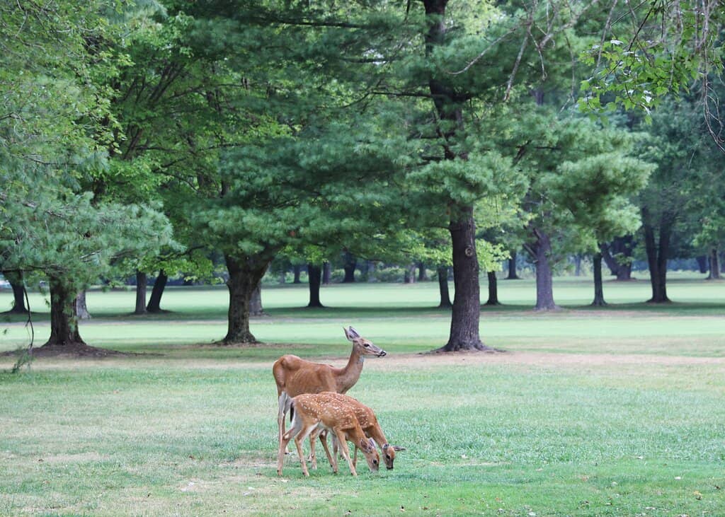 Potomac River Waterfront