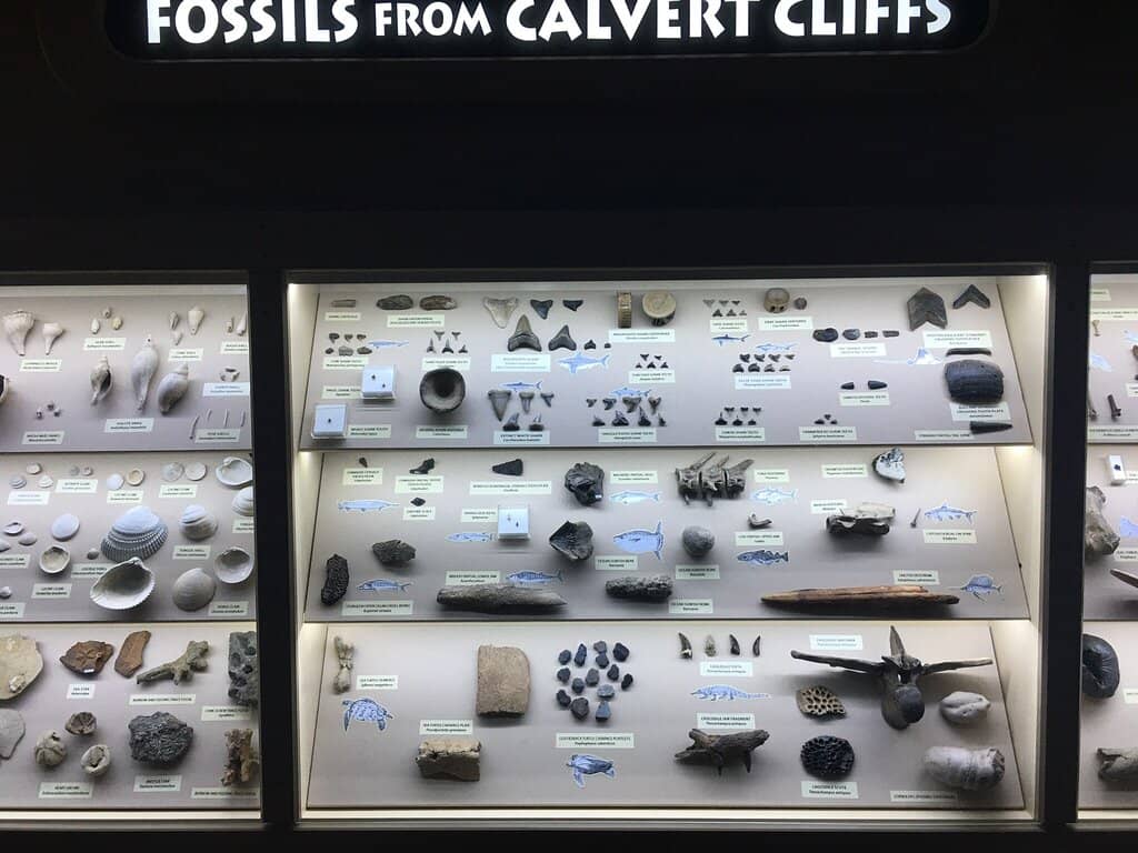 19th-Century Keeper's Quarters