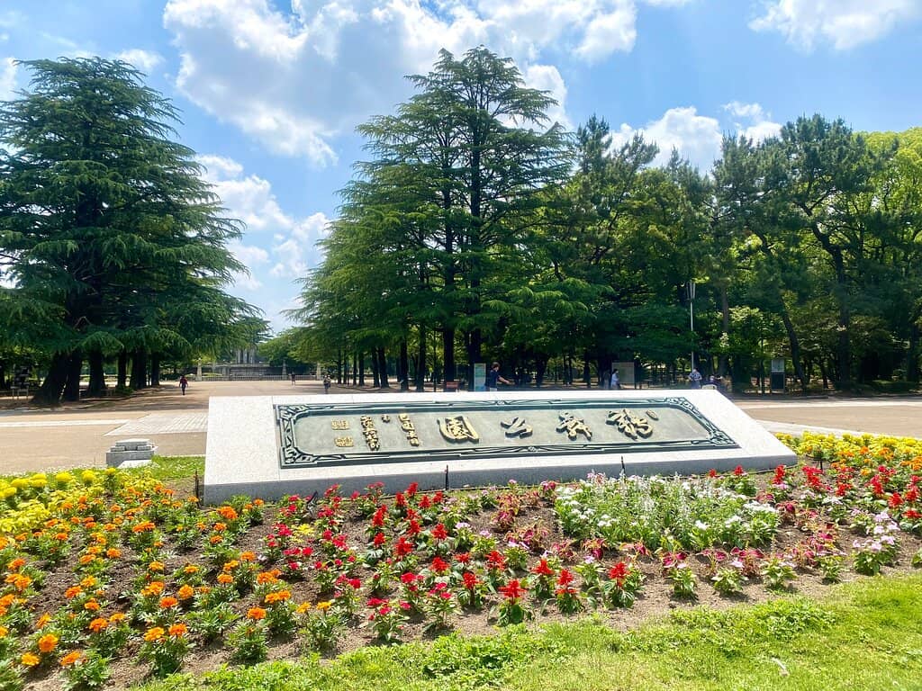 Nighttime Illumination