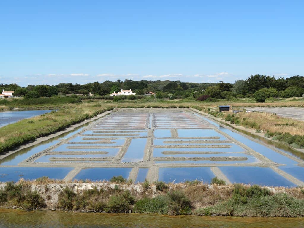 Jacobsen Pier Promenade