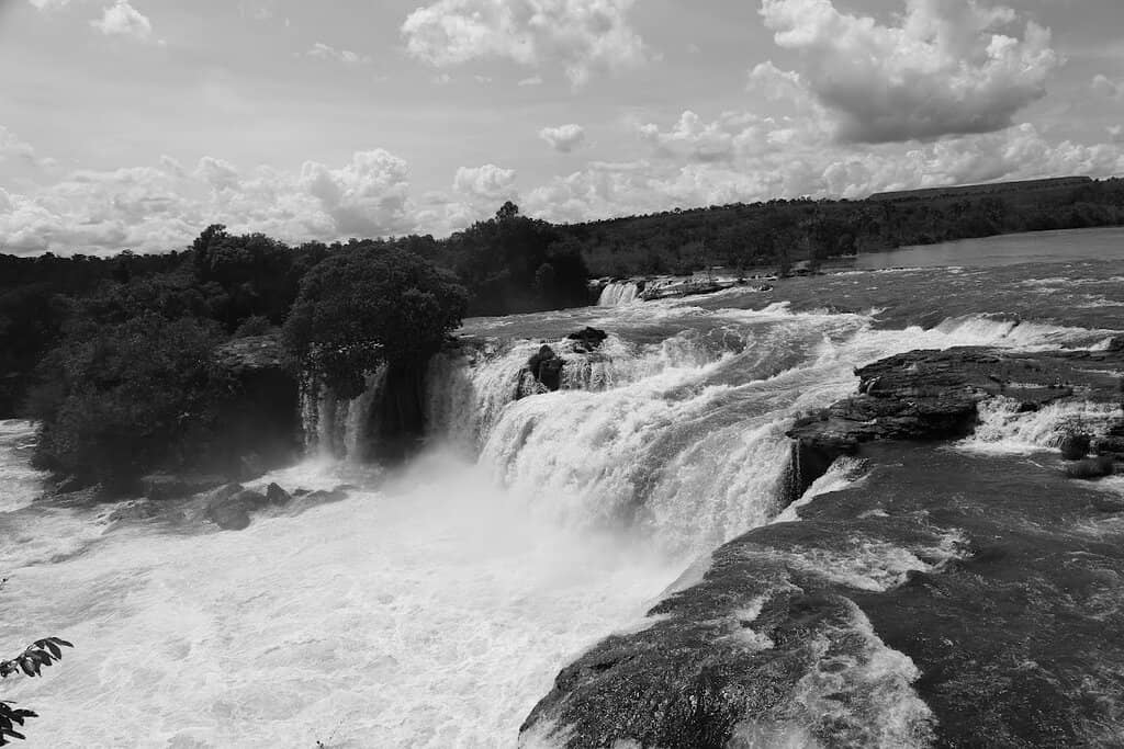 Surrounding Nature Trails