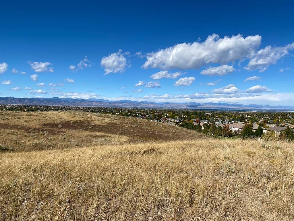 Wildlife Spotting Opportunities