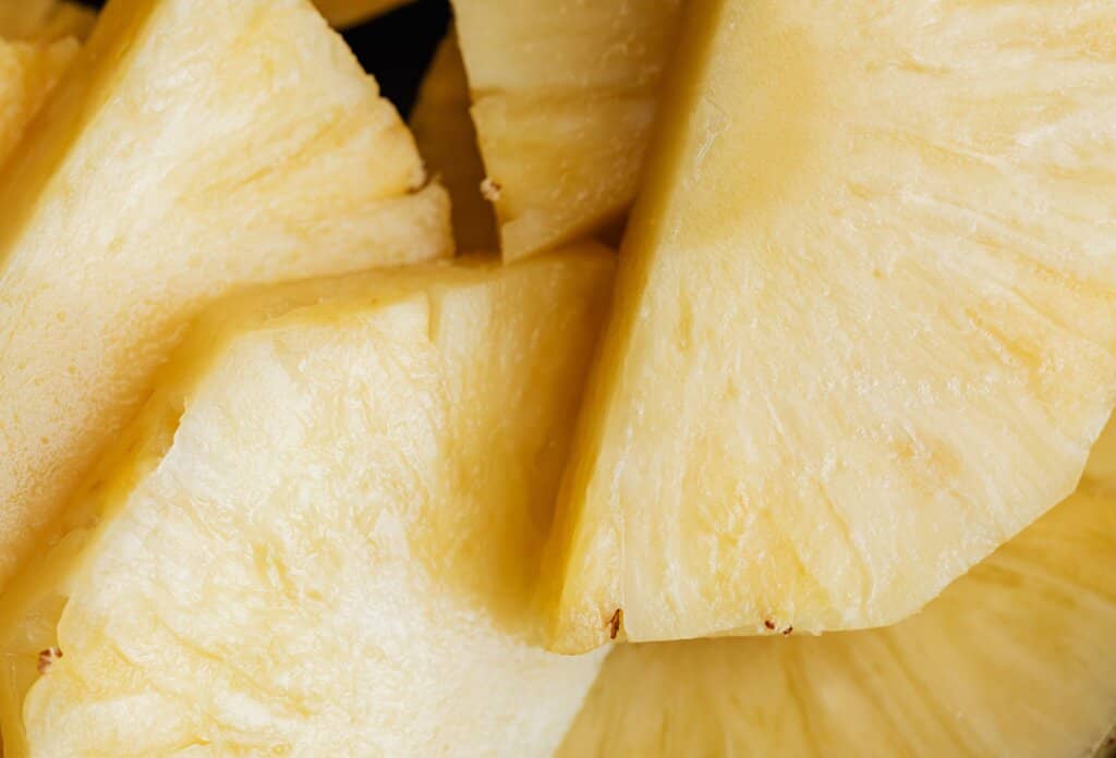 Behind-the-Scenes Farm Tour