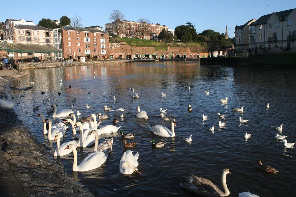 Historic Warehouses & Cobblestone Streets