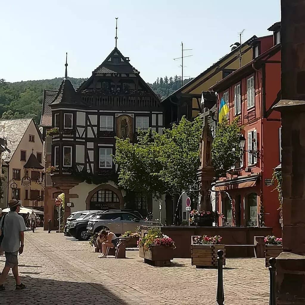 Vineyard Hiking Trails