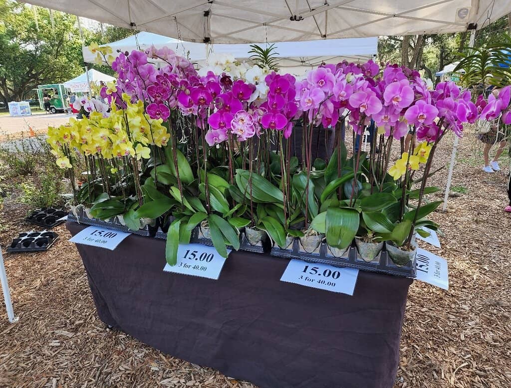 Handmade Crafts & Gifts