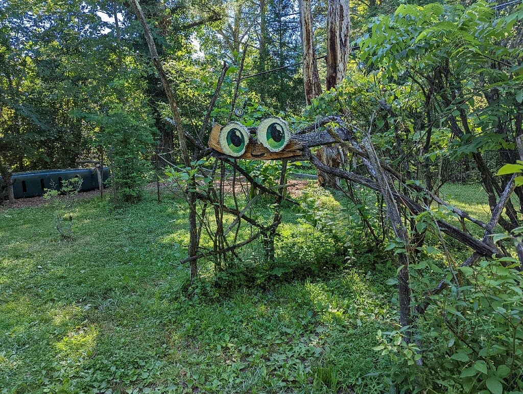 Whimsical Attractions