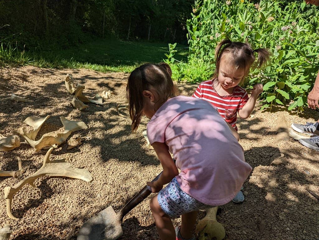 Boardwalks and Ponds