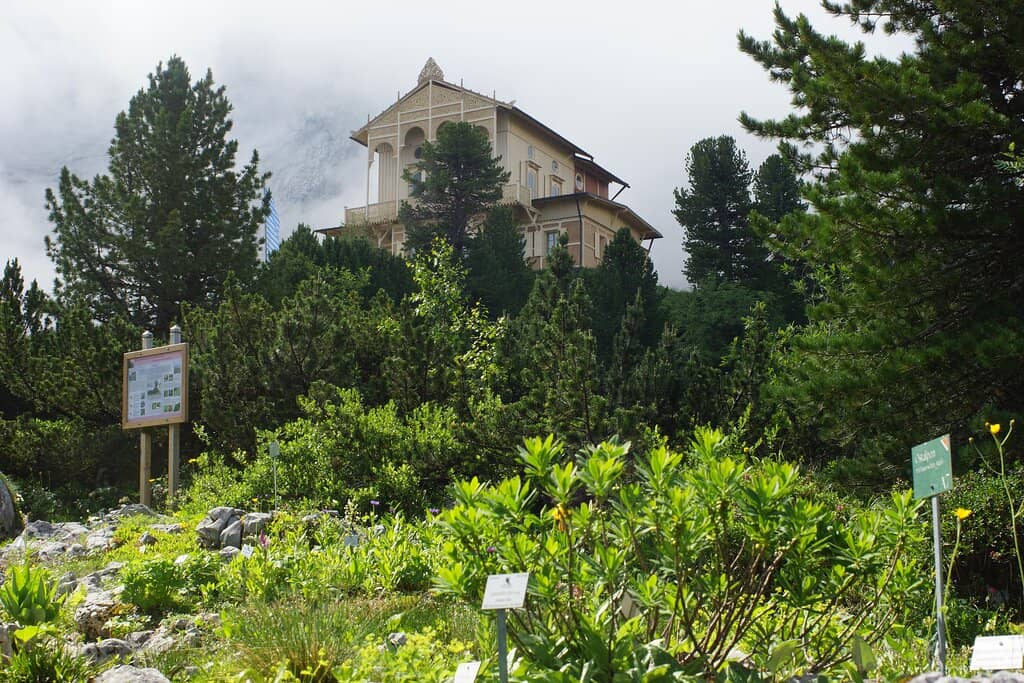Panoramic Alpine Views
