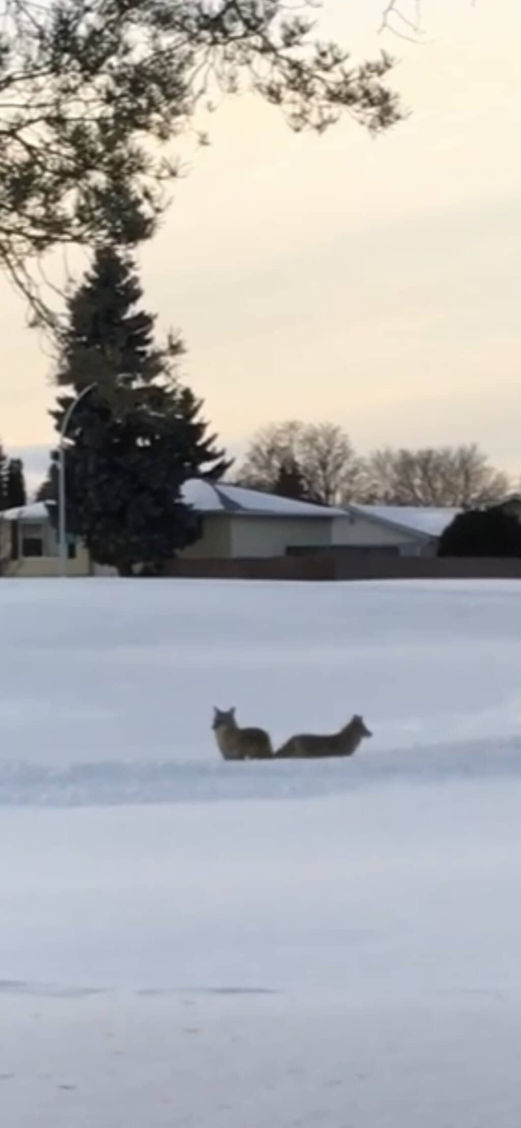 Playground Music Area