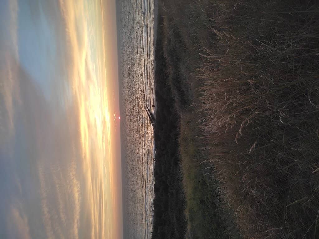 Dune Landscape Exploration