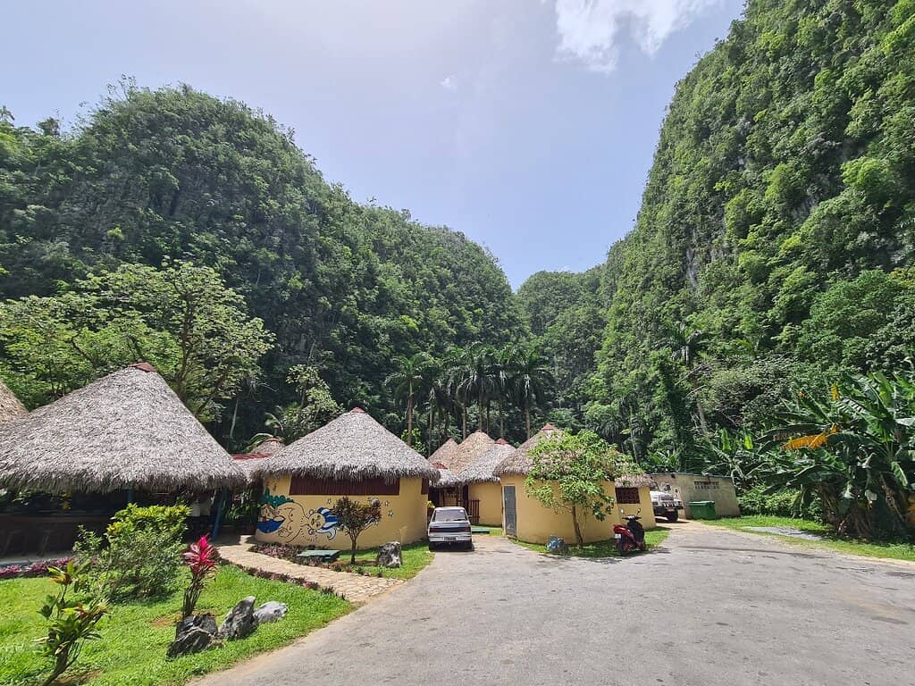 Live Music & DJ Sets