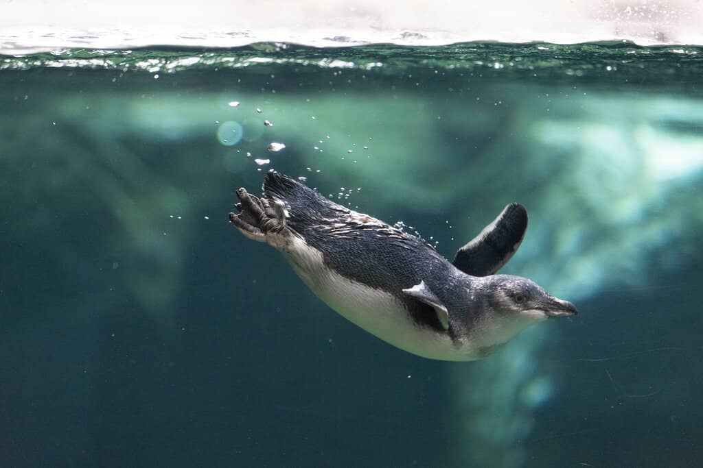 Simulated Antarctic Storm