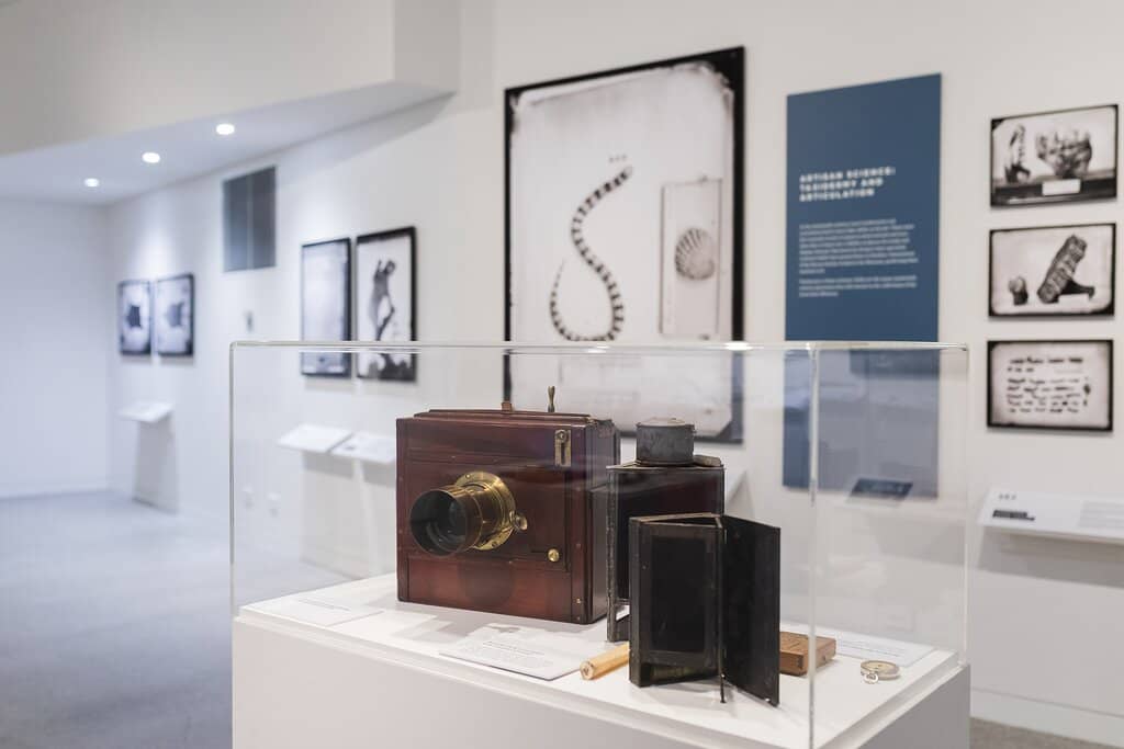 Traveling Art Exhibitions