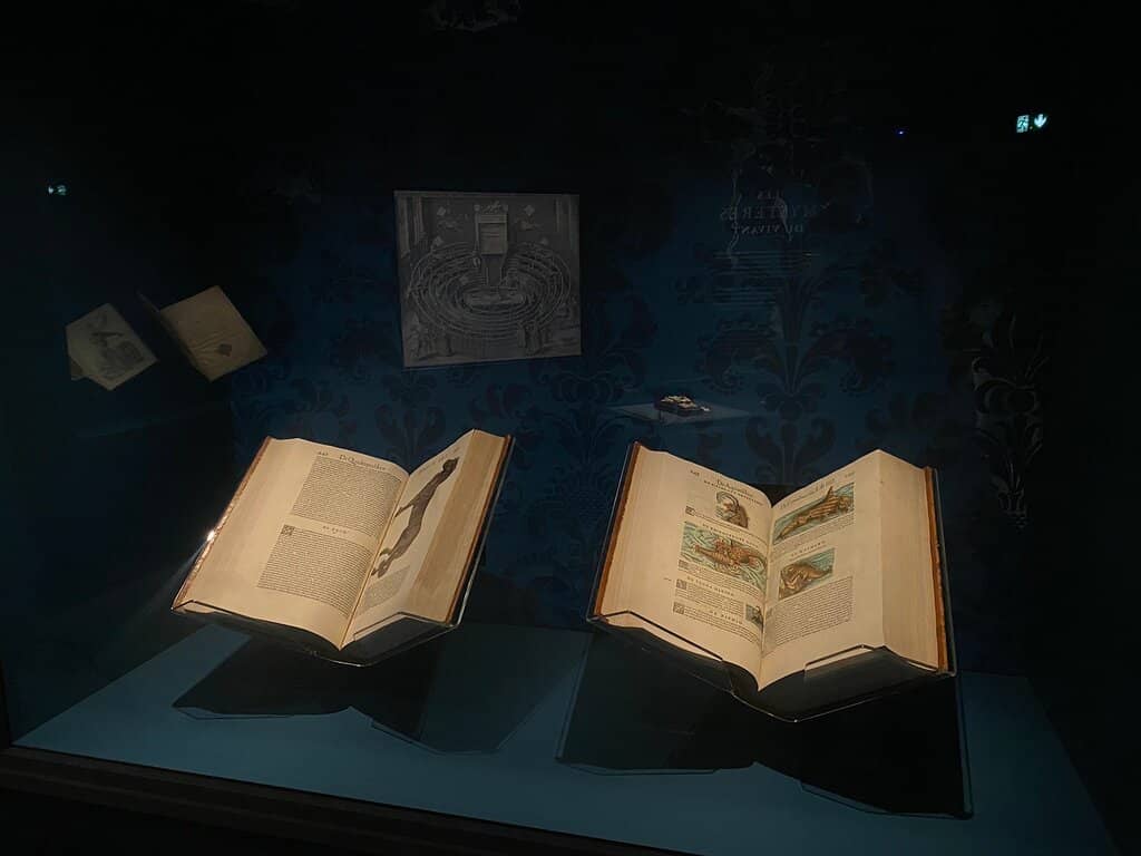 Spacious Farm Grounds