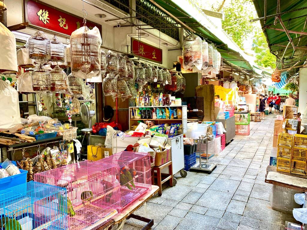 Local Artisans and Vendors