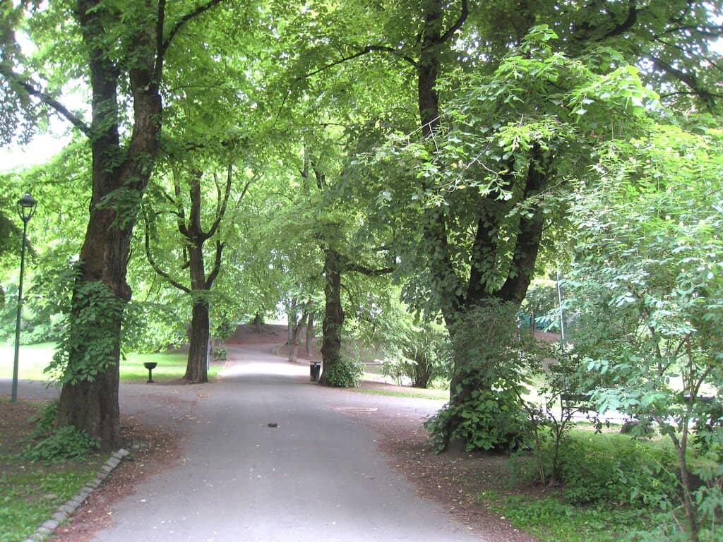 Outdoor Workout Zone
