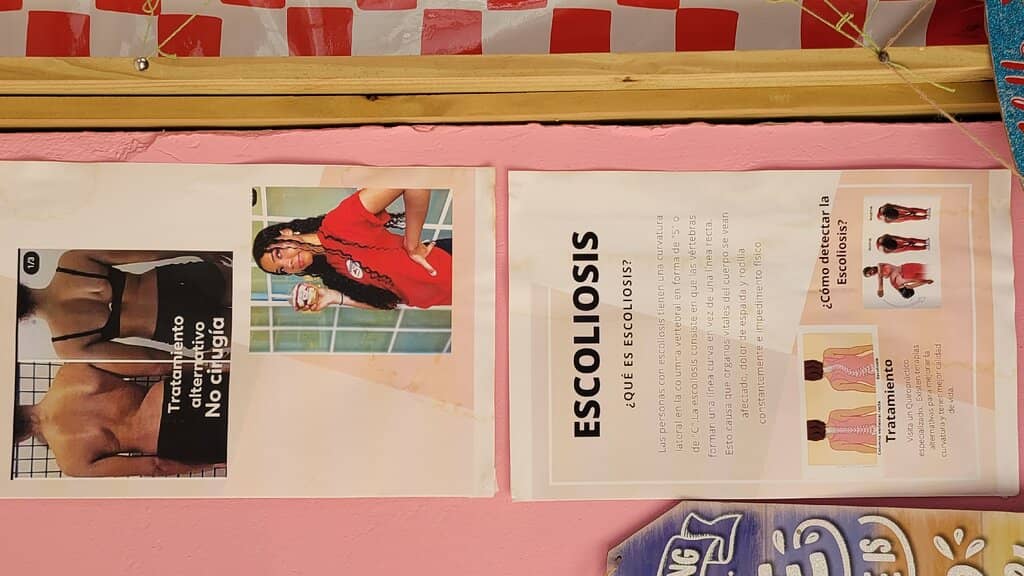 Delectable Cheesecakes and Desserts