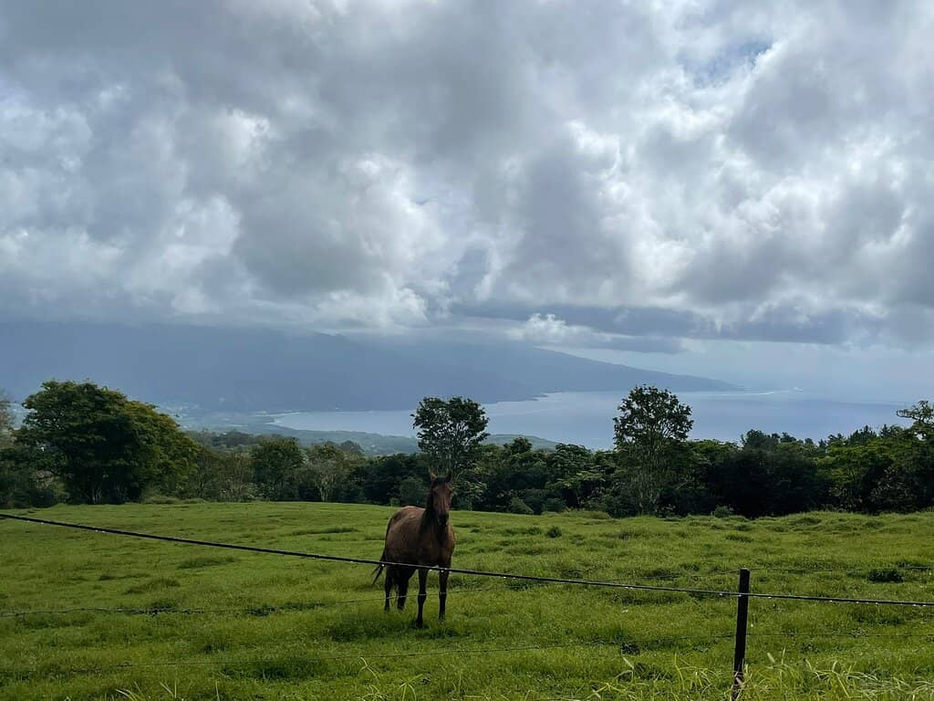 Scenic Mountain Drive