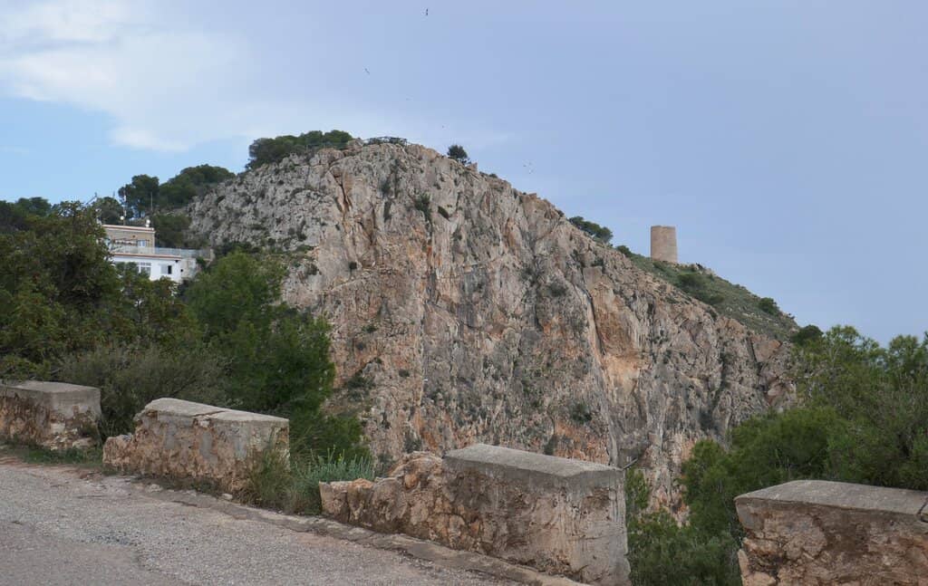 Snorkeling & Marine Life