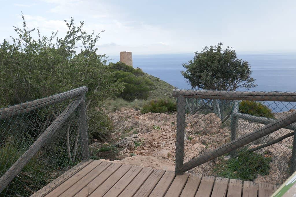 Coastal Hiking Trails