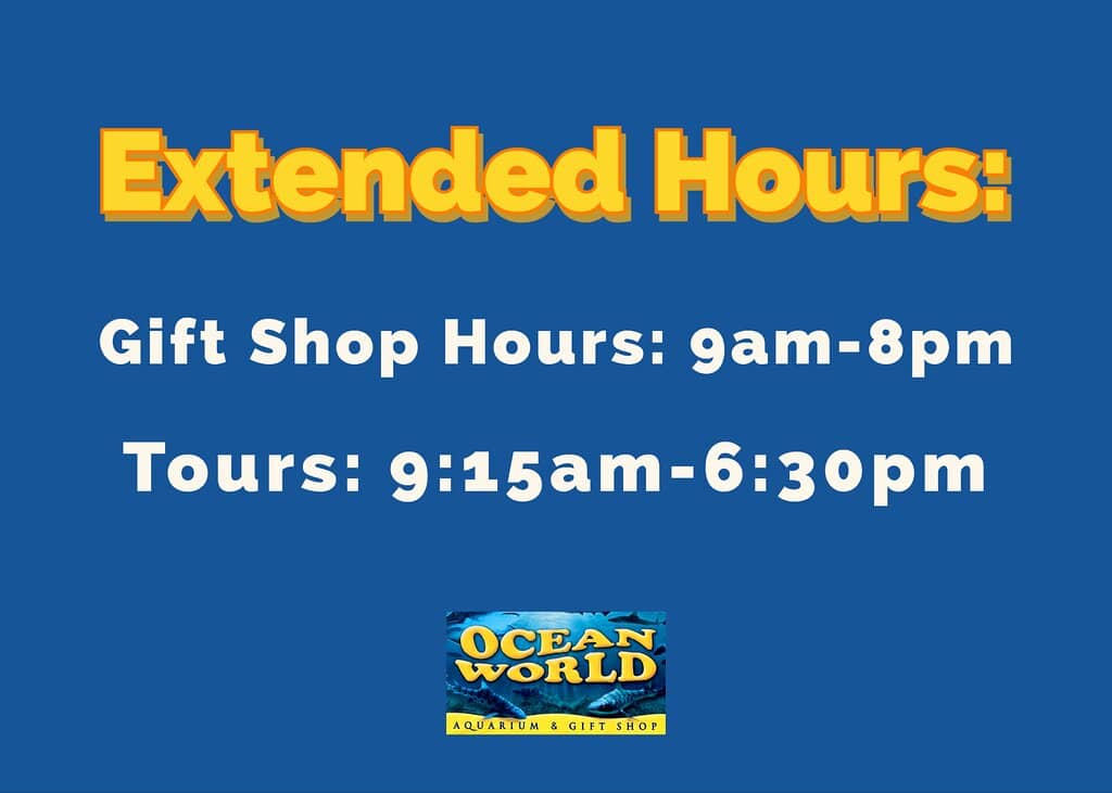 Sea Lion & Seal Show