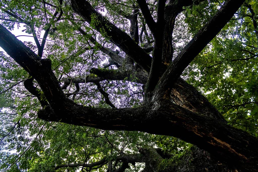 Archaeological Museum