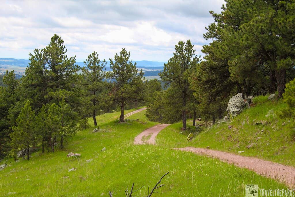 Panoramic Black Hills Views