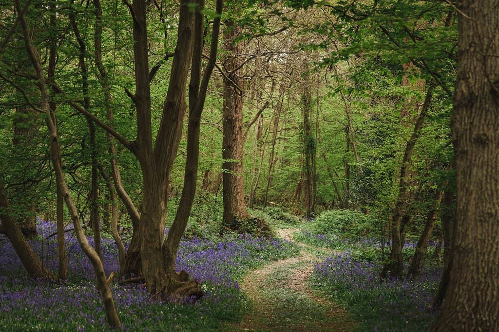 Wine Tasting Experience