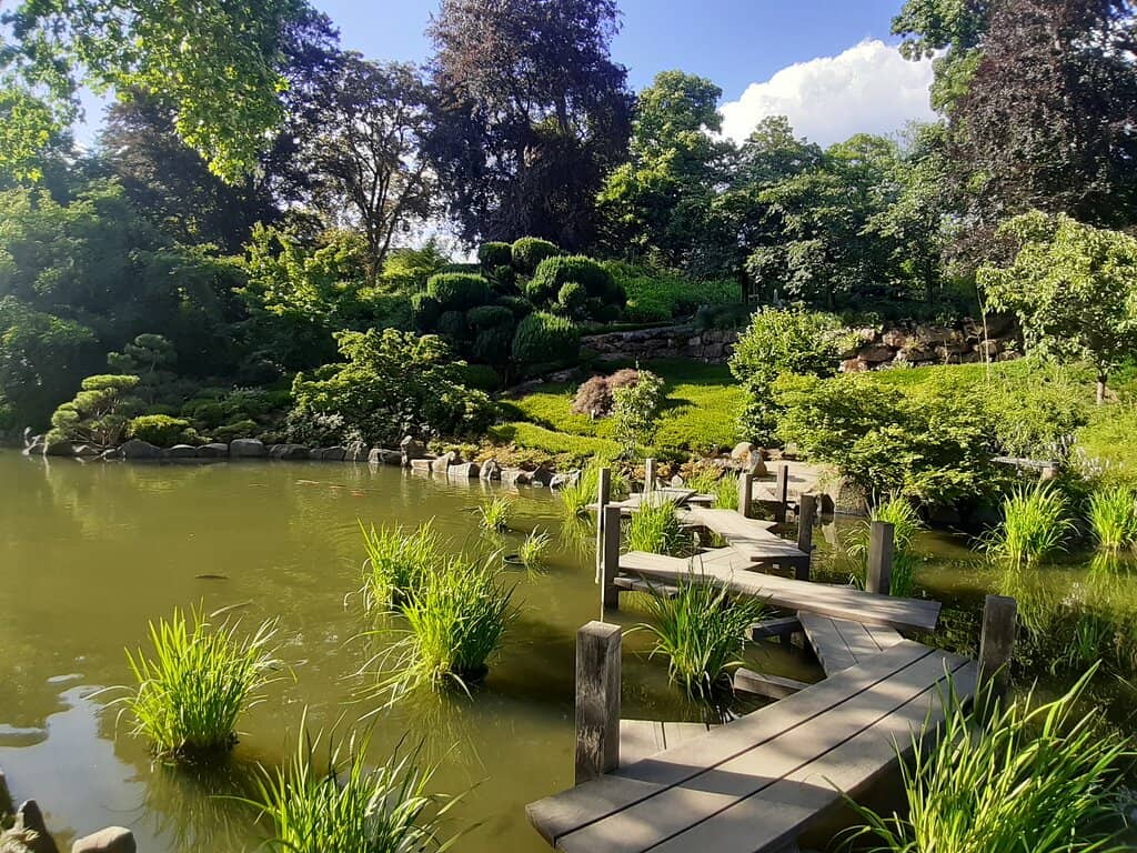 Teahouse & Festivals