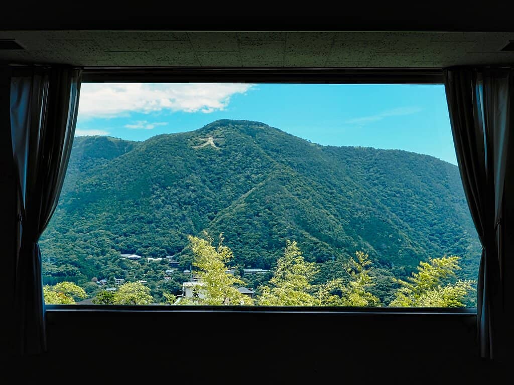 Autumn Foliage Tunnel