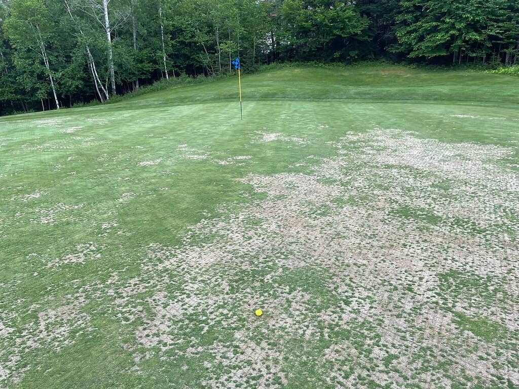 Unique 3-Wheeled Cart Experience