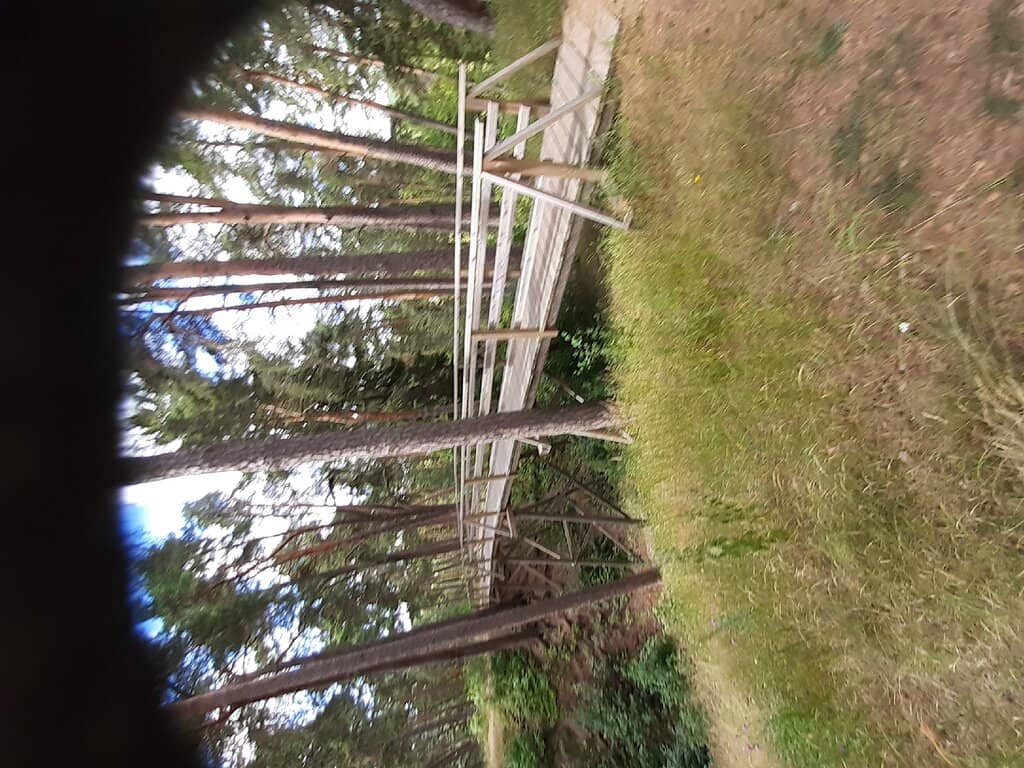 Summer Pool at the Jump's End