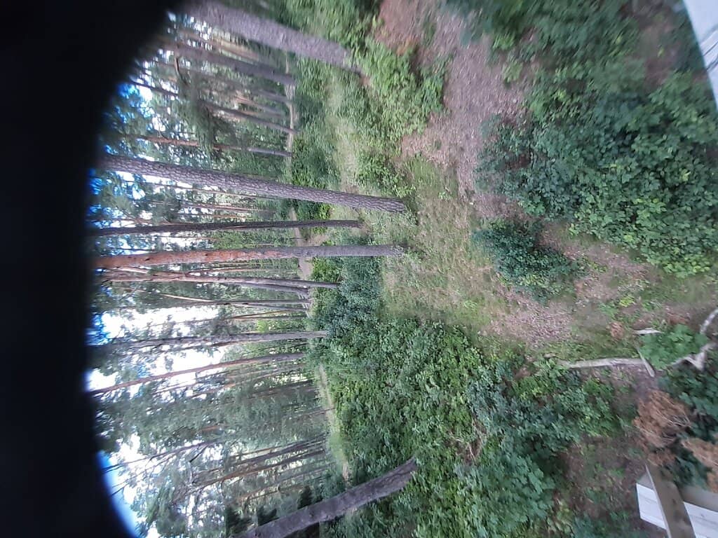 Ski Museum & Simulators