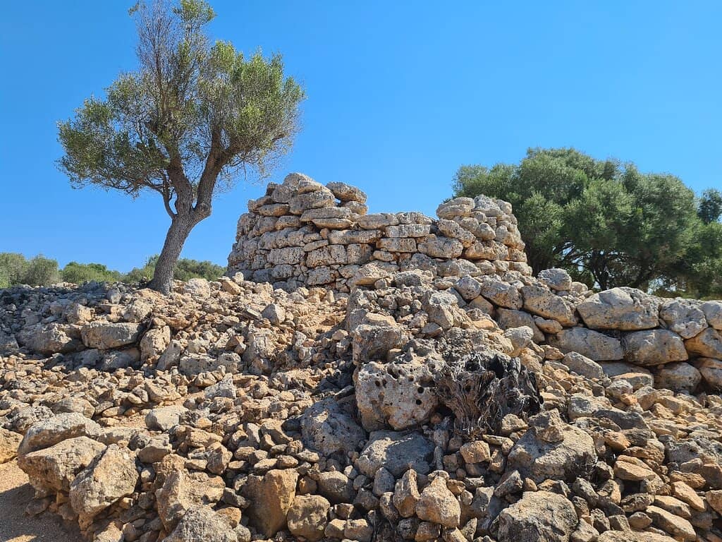 Affordable Historical Journey