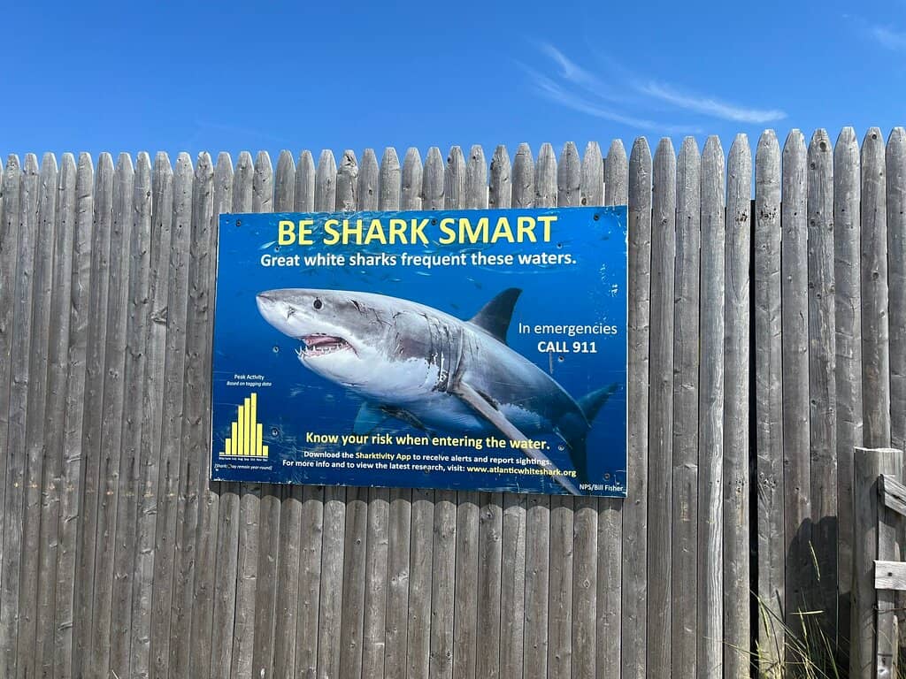 Warm, Shallow Waters