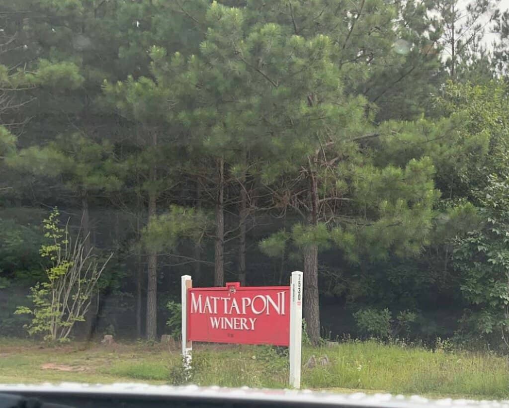 Signature Berry Wines