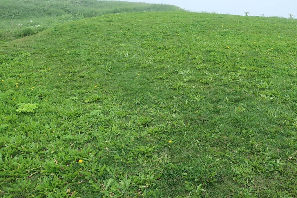 Northern Coastline Views