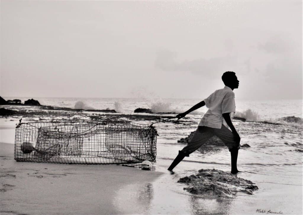 Local Artist Gift Shop