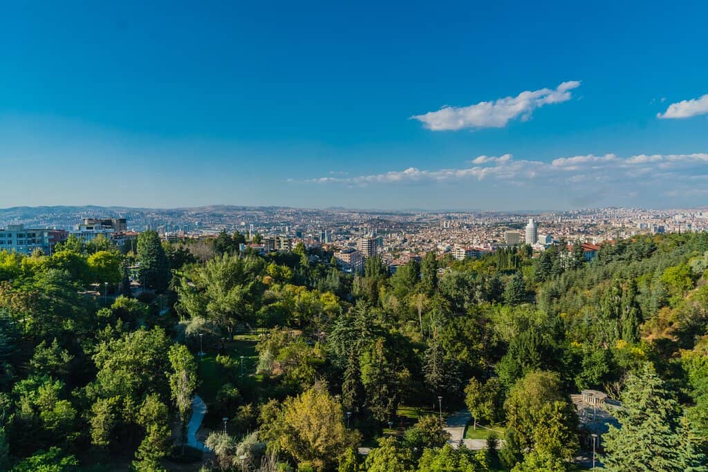 Panoramic Observation Tower