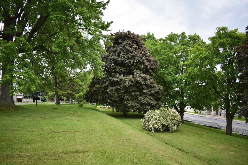 History of Canadian Prisons