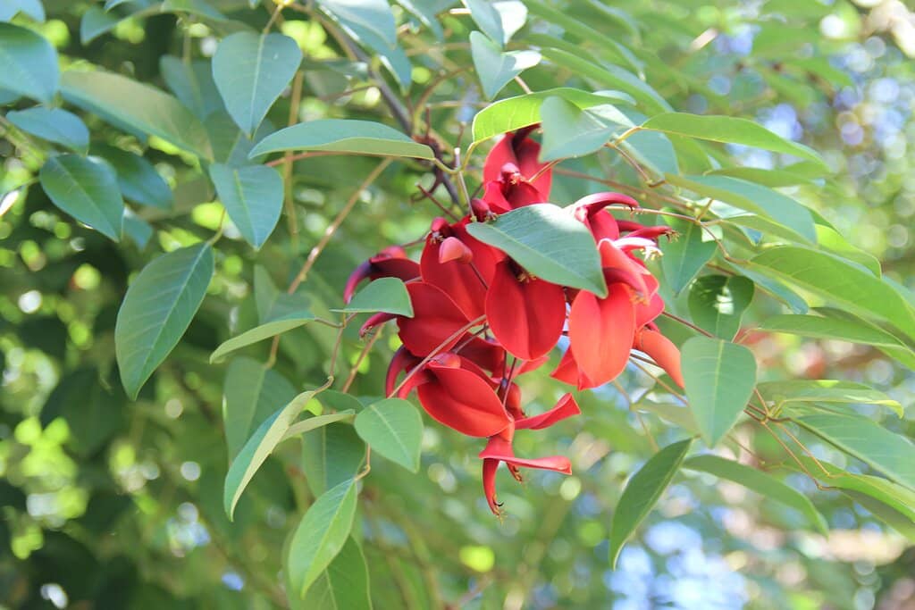 Historic Home & Carriage House