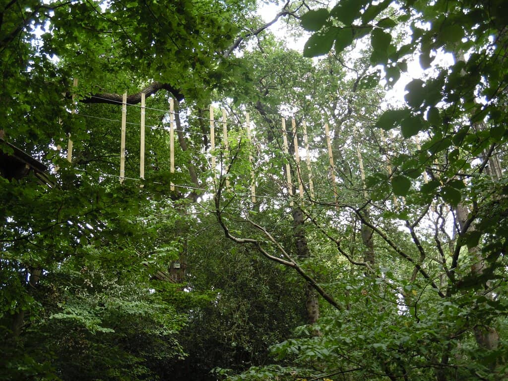 Challenge Plus Course