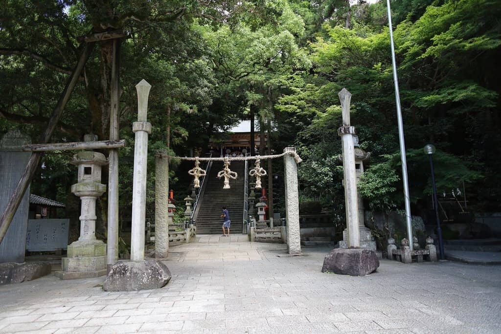 Panoramic Osaka Views