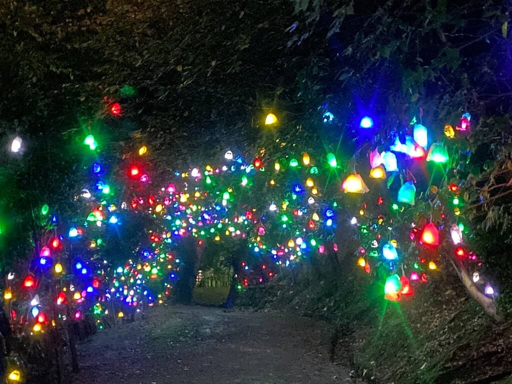 Samurai House Reconstruction