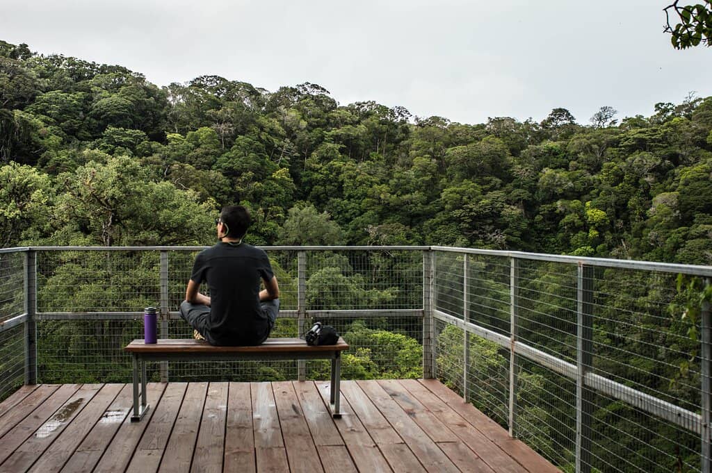 Permaculture Farm & Gardens