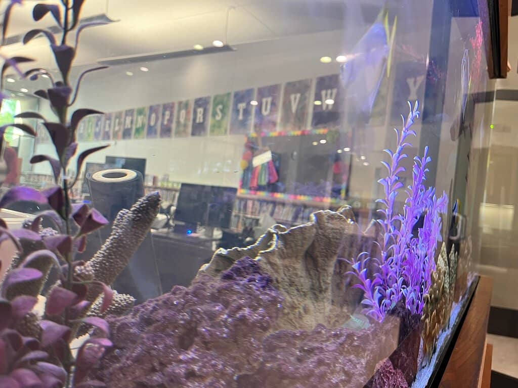 Children's Discovery Zone