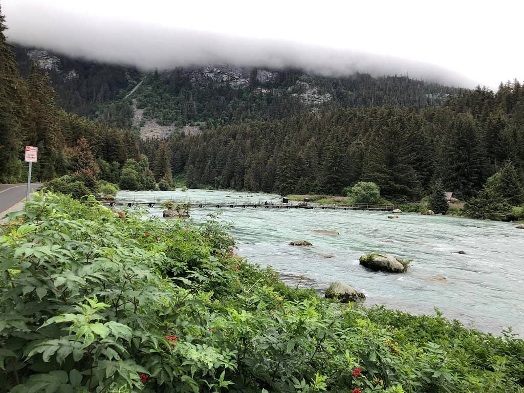 Wildlife Spotting Opportunities